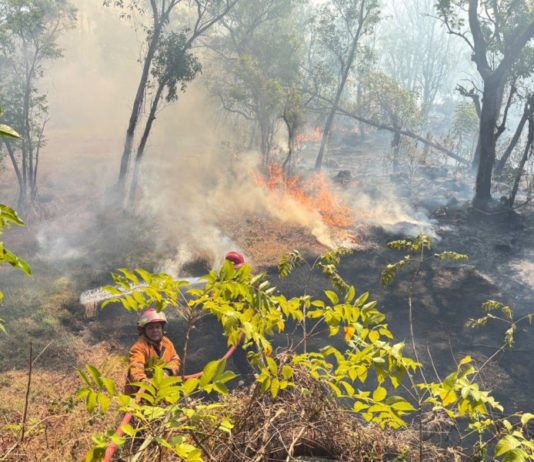 Peralihan Musim, BPBD Karangasem Imbau Warga Waspadai Kebakaran Lahan