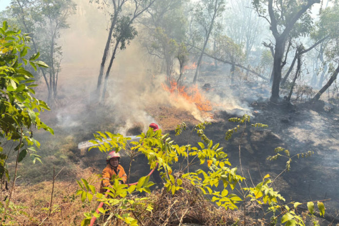 Peralihan Musim, BPBD Karangasem Imbau Warga Waspadai Kebakaran Lahan 1