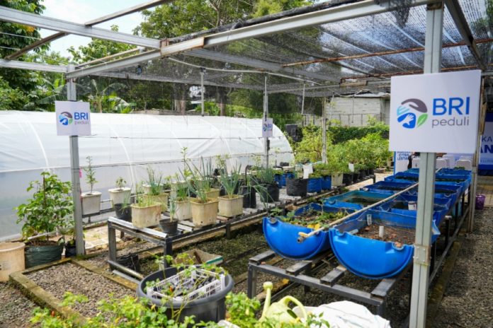 Perempuan Berdaya Lewat BRInita, Intip Kisah Inspiratif KWT Buaran Citra Lestari 1