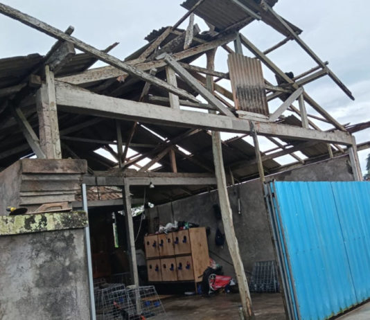 Puting Beliung Terjang Tabanan dan Marga, Belasan KK Terdampak