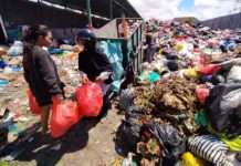 Sampah di TPS 3R Sesetan Membeludak, Ini Tanggapan Wawali Denpasar