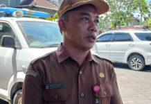 LSD Sapi di Jembrana Berangsur Pulih