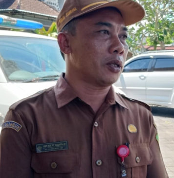 LSD Sapi di Jembrana Berangsur Pulih