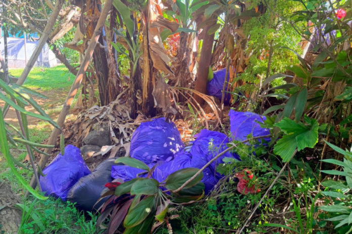 Setumpuk Sampah Dibuang Ke SMP Wisata Sanur Denpasar, Dilempar Dari Lewat Tembok 1