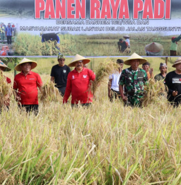 Tenaga Panen Minim, Panen Raya Subak Lanyah Sempat Tersendat