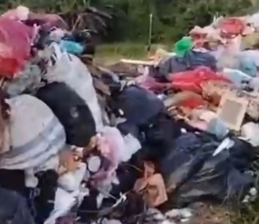 TPA Liar di Kerobokan Kelod Viral di Medsos, DLHK Badung Turunkan Tim