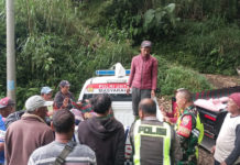 Truk Muat 1,5 Ton Jeruk Terjun ke Jurang di Kintamani