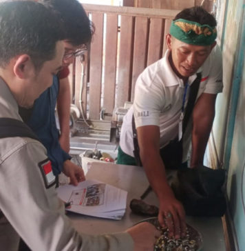 Batu Pulaki Banyupoh Diverifikasi Pusat untuk Sertifikasi Indikasi Geografis
