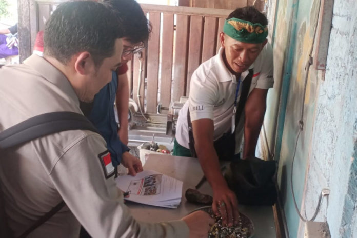 Batu Pulaki Banyupoh Diverifikasi Pusat Untuk Sertifikasi Indikasi Geografis 1