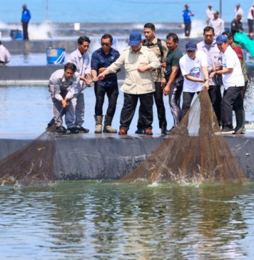 Dampingi Prabowo Panen Raya, Ahmad Luthfi Sebut Budidaya Udang Memiliki Prospek Bagus