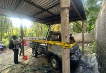 Diduga Cinta Tak Direstui, Pemuda di Tejakula Bakar Kandang Sapi dan Mobil