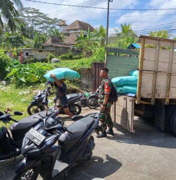 Dukung Ketahanan Pangan, Ratusan Kilogram Benih Padi Disalurkan ke Petani Tegallalang