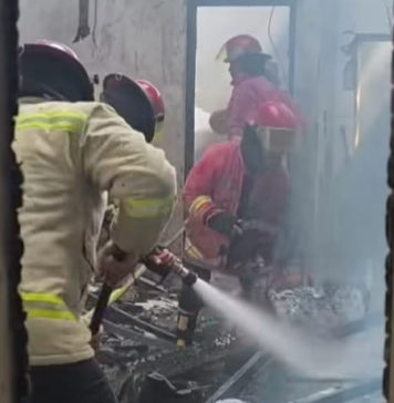 Gudang Ikan Hias Terbakar di Pedungan, Kerugian Puluhan Juta