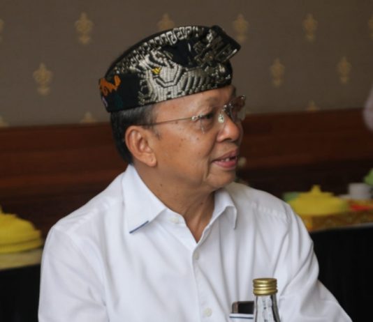 Jaga Masa Depan Bali, Gubernur Koster Minta Kuatkan Keluarga 4 Anak