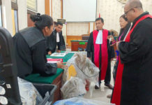 Kasus Clandestine Ganja Hidroponik, Sidang Tuntutan Pasutri WNA Ditunda Pekan Depan