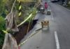 Jalan Rusak dan PJU Minim, Pemprov Diminta Prioritaskan Perbaikan di Jalur Padat