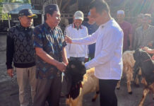 Kembang-Ipat Salurkan Hewan Kurban Merata ke Semua Masjid di Jembrana