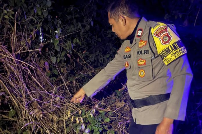 Kucing Melintas, Pemotor Temukan Bayi Di Semak Semak Wilayah Jimbaran 1