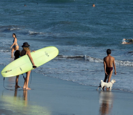 Ekonomi Bali Tumbuh 5,78 Persen, Pariwisata Masih Mendominasi