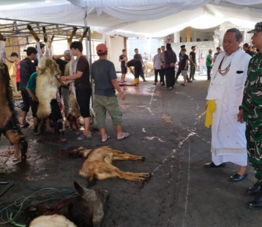 Menjaga Tradisi ‘Ngejot’ dan ‘Menyama Braya’ Melalui Momen Iduladha di Bali