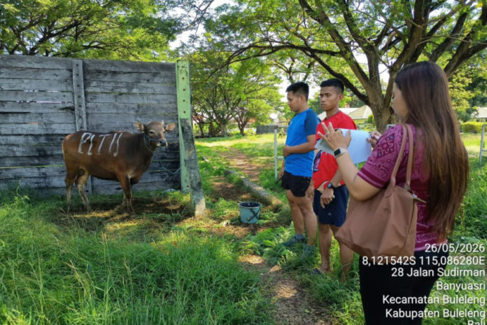 Pastikan Daging Kurban Aman, Buleleng Kerahkan Puluhan Dokter Hewan 1