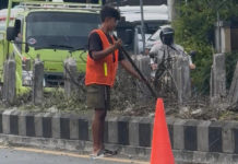 Percantik Jalan Bypass Ngurah Rai, DLHK Badung Ganti Tanaman Lee Kuan Yew dengan Bougenville