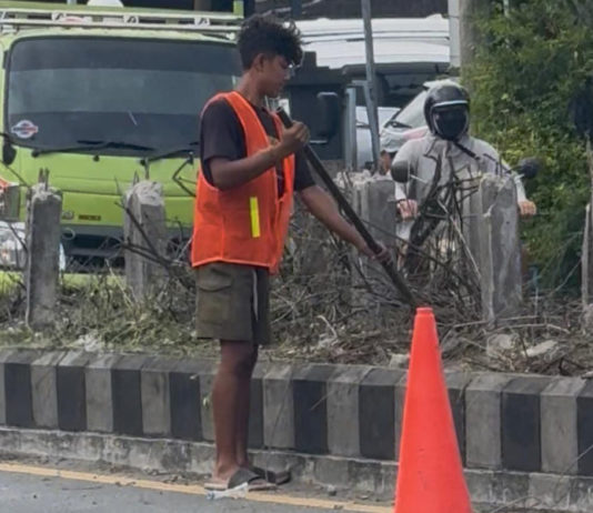 Percantik Jalan Bypass Ngurah Rai, DLHK Badung Ganti Tanaman Lee Kuan Yew dengan Bougenville