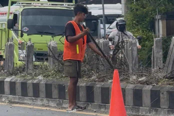Percantik Jalan Bypass Ngurah Rai, DLHK Badung Ganti Tanaman Lee Kuan Yew Dengan Bougenville 1