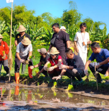 Baik untuk Menanam Padi, Berikut Ala Ayuning Dewasa 24 Juli 2026