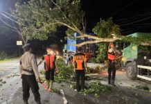 Pohon Timpa Truk Kontainer di Yehembang Kangin