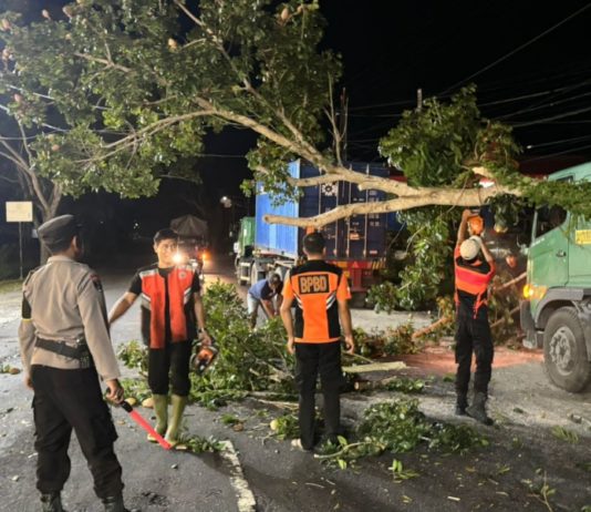 Pohon Timpa Truk Kontainer di Yehembang Kangin
