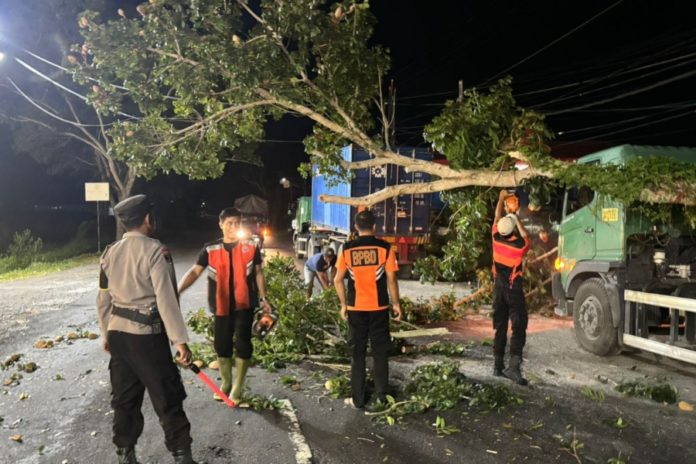 Pohon Timpa Truk Kontainer Di Yehembang Kangin 1