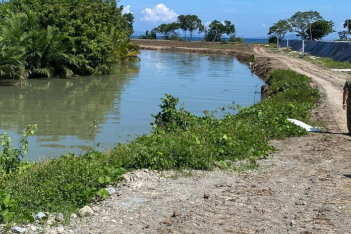 Satpol PP Lakukan Pengawasan Tambak Udang 1