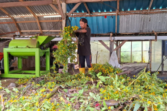 Tak Bergantung Pemerintah, DTW Ulun Danu Beratan Kelola Sendiri Sampah Sejak 2022 1