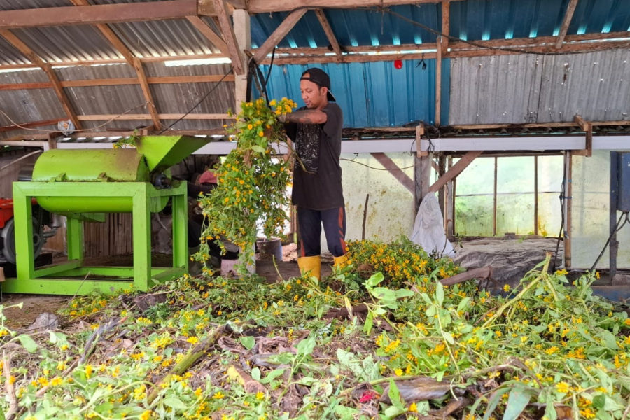 Tak Bergantung Pemerintah, DTW Ulun Danu Beratan Kelola Sendiri Sampah ...