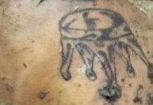 Tato Mahkota di Jasad Membusuk Diharapkan Bantu Ungkap Identitas Mr. X