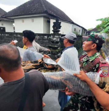 Terseret Arus Sungai, Lansia di Ketewel Meninggal