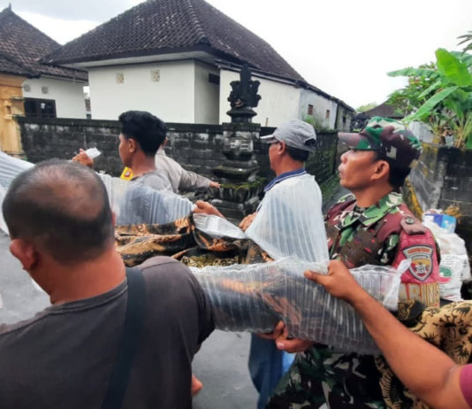 Terseret Arus Sungai, Lansia di Ketewel Meninggal