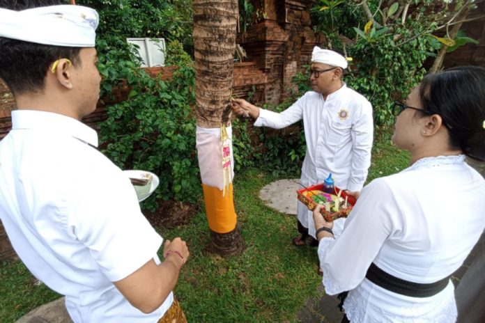 Tumpek Wariga Di Denpasar, Persembahyangan Digelar Di Pura Agung Lokanatha Lumintang 1