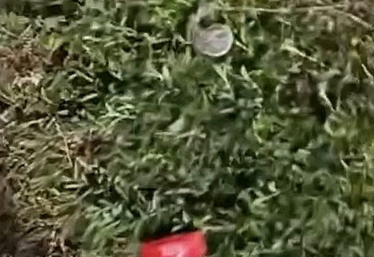 Alat Kontrasepsi Berserakan di Lapangan Bhuana Patra, Disdikpora Usulkan Penambahan CCTV