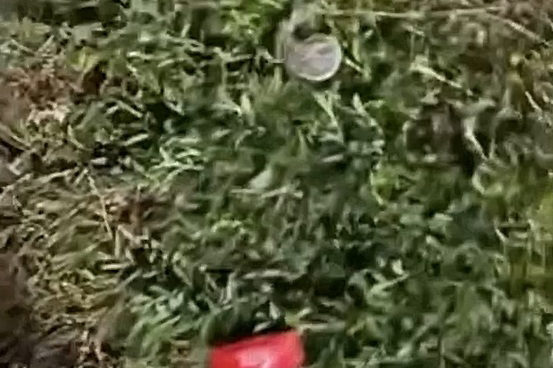 Alat Kontrasepsi Berserakan Di Lapangan Bhuana Patra, Disdikpora Usulkan Penambahan CCTV 1