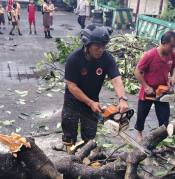 Angin Puting Beliung Sebabkan Pohon Tumbang hingga Atap Beterbangan di Imam Bonjol