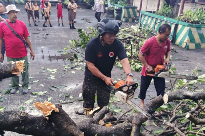 Angin Puting Beliung Sebabkan Pohon Tumbang Hingga Atap Beterbangan Di Imam Bonjol 1