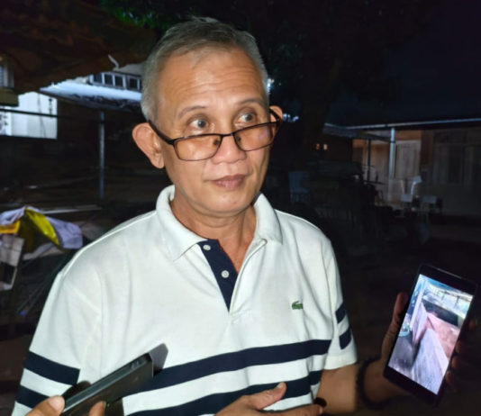 Babi Hitam Bali Kian Langka, DPRD Bali Dorong Penguatan Budi Daya