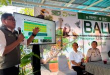 Belasan Monyet Ekor Panjang Peliharaan Warga Bali Diserahkan ke BKSDA