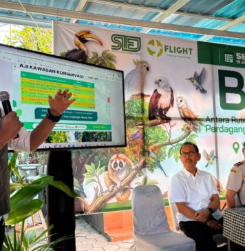 Belasan Monyet Ekor Panjang Peliharaan Warga Bali Diserahkan ke BKSDA