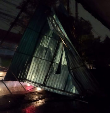 Cuaca Ekstrem Picu Pohon Tumbang dan Kerusakan Sejumlah Bangunan di Denbar