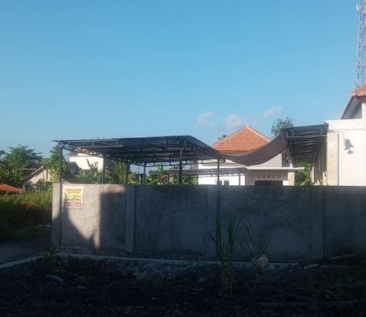 Dalam 5 Tahun, Ratusan Hektare Lahan Karangasem Alami Alih Fungsi