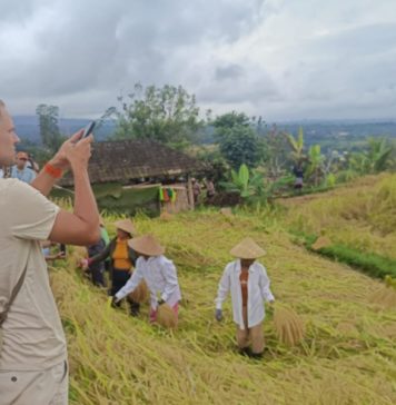 Dari Tebuk Lesung hingga Manyi, Jatiluwih Festival jadi Magnet Wisatawan
