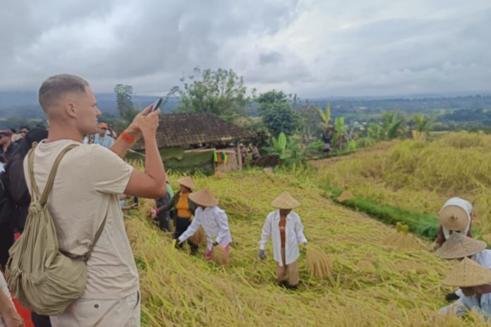 Dari Tebuk Lesung Hingga Manyi, Jatiluwih Festival Jadi Magnet Wisatawan 1